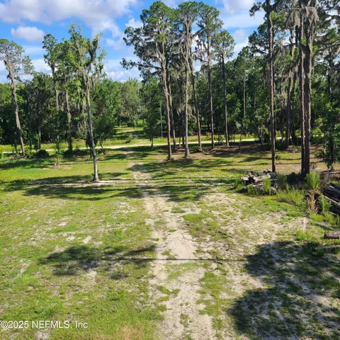 a view of a park with large trees
