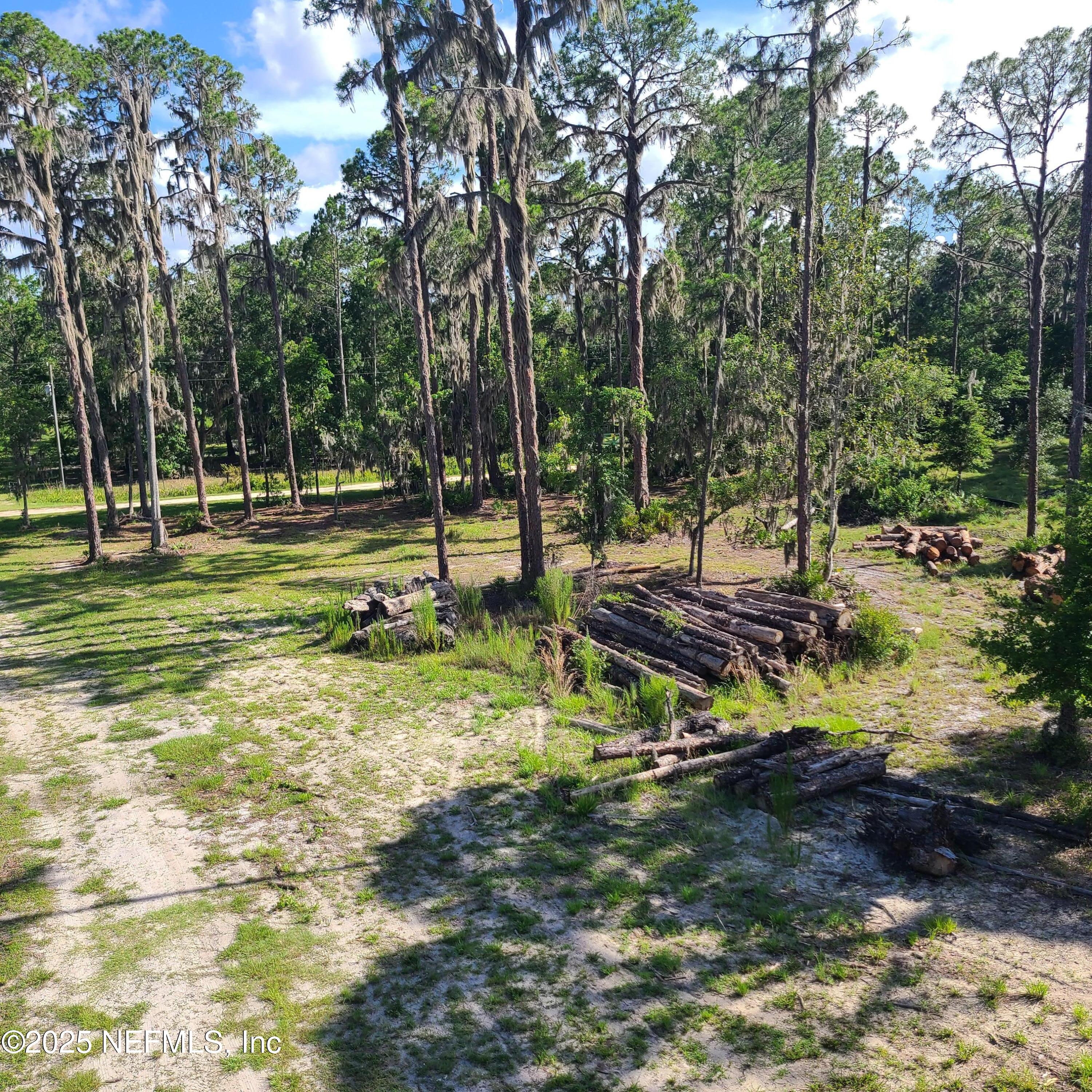 212 Atkins Road Georgetown, FL 32139 - Photo 5 of 20 a view of a park with large trees