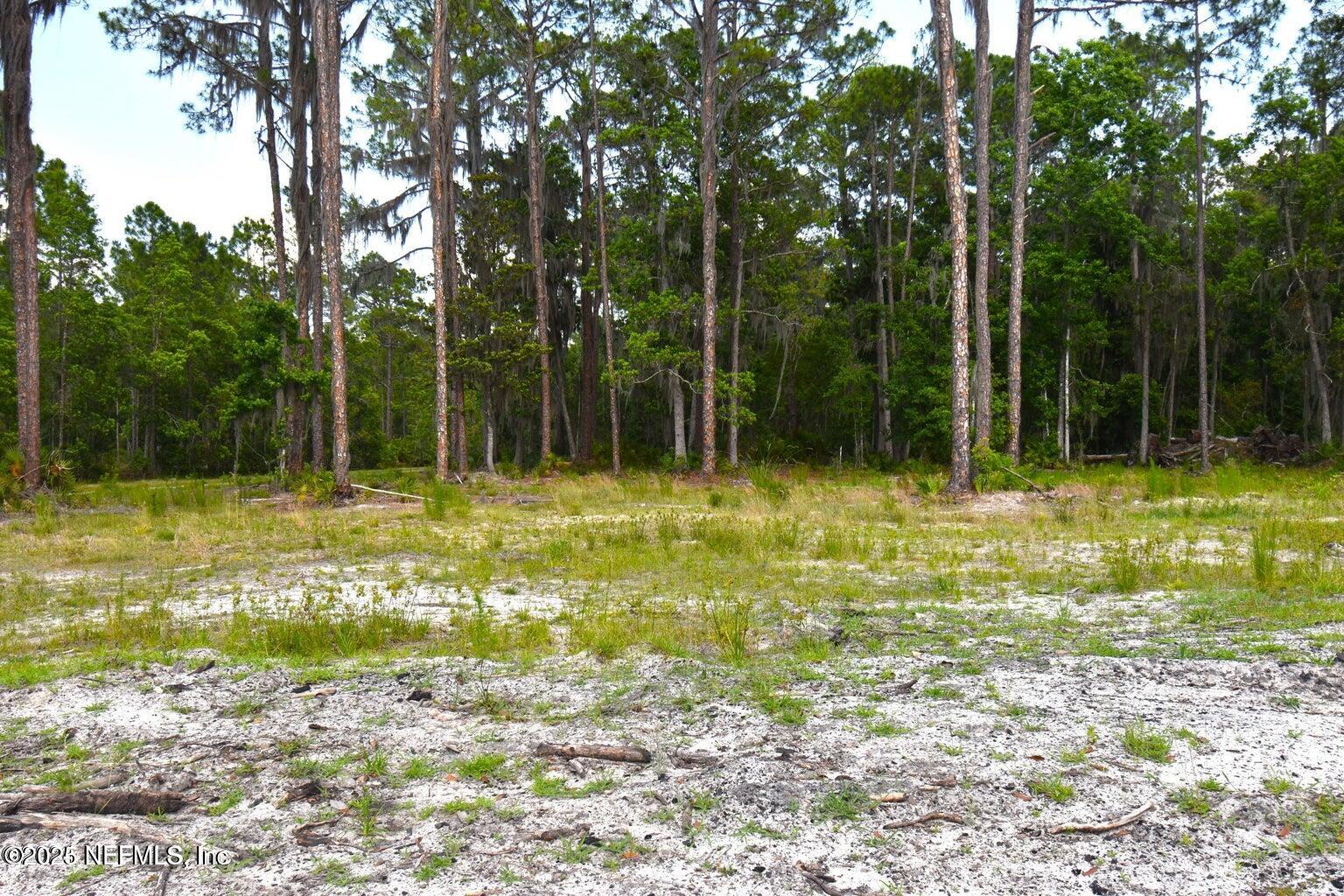 212 Atkins Road Georgetown, FL 32139 - Photo 6 of 20 a view of swimming pool from a yard