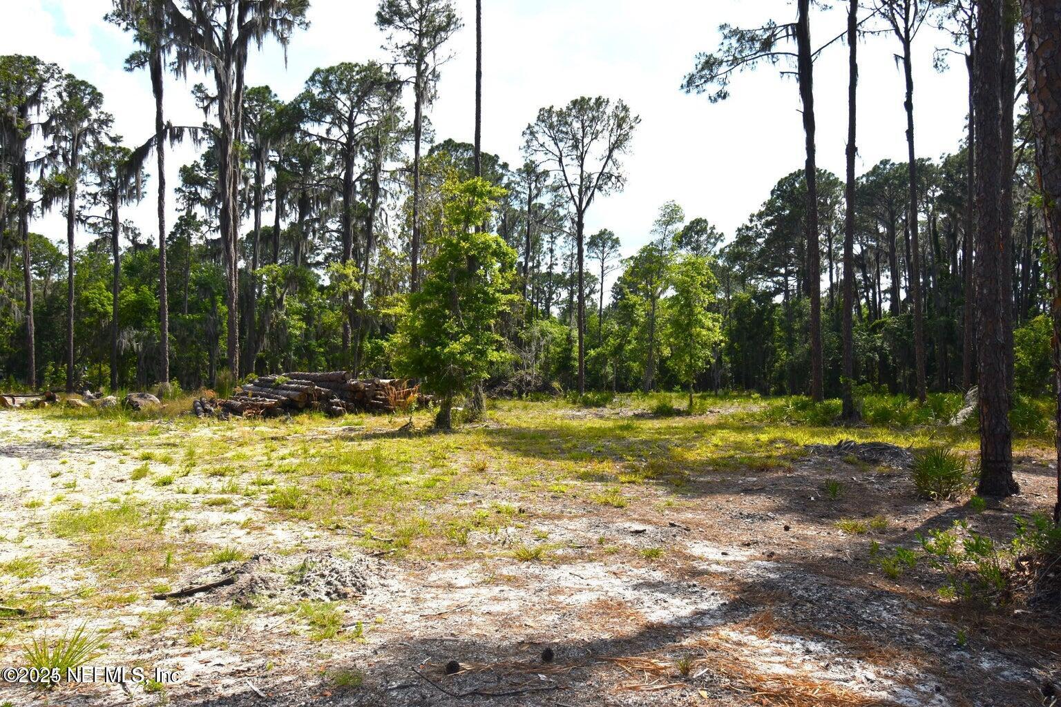 212 Atkins Road Georgetown, FL 32139 - Photo 7 of 20 a view of swimming pool with a yard