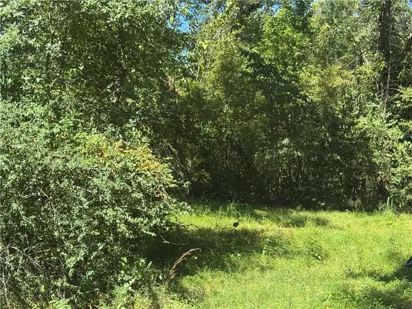 $47,000 | 0 Royal Drive, Alexandria, LA 71302