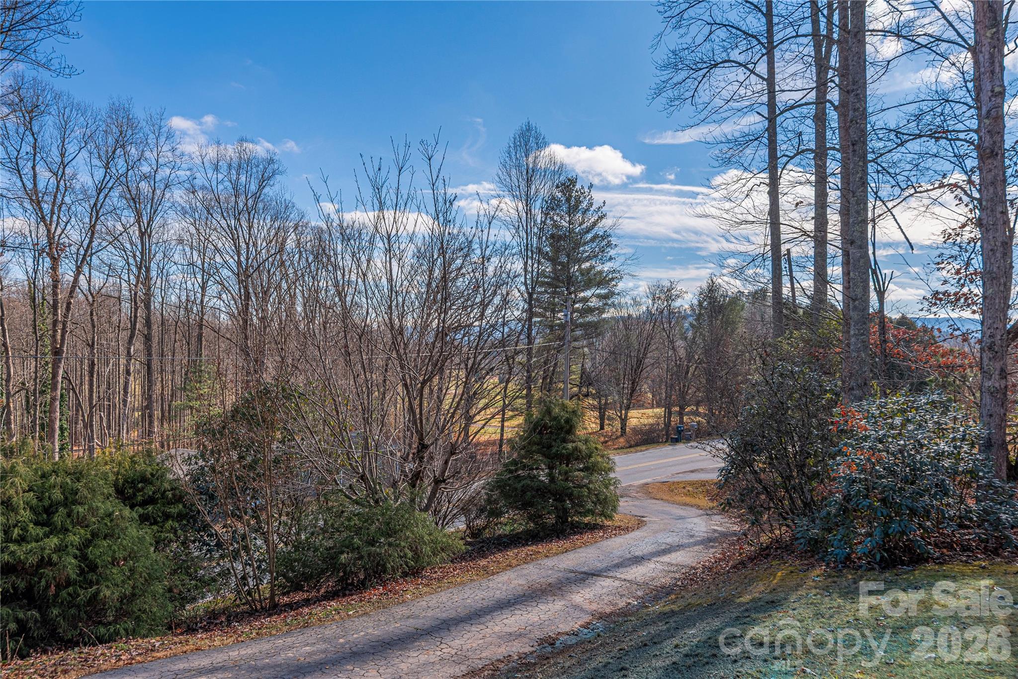2746 Turnpike Road Horse Shoe, NC 28742 - Photo 25 of 28