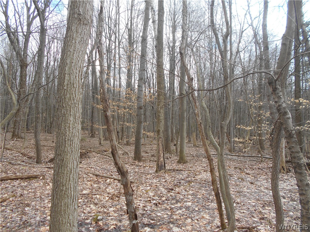 0 Genesee Road Lawtons, NY 14091 - Photo 25 of 34