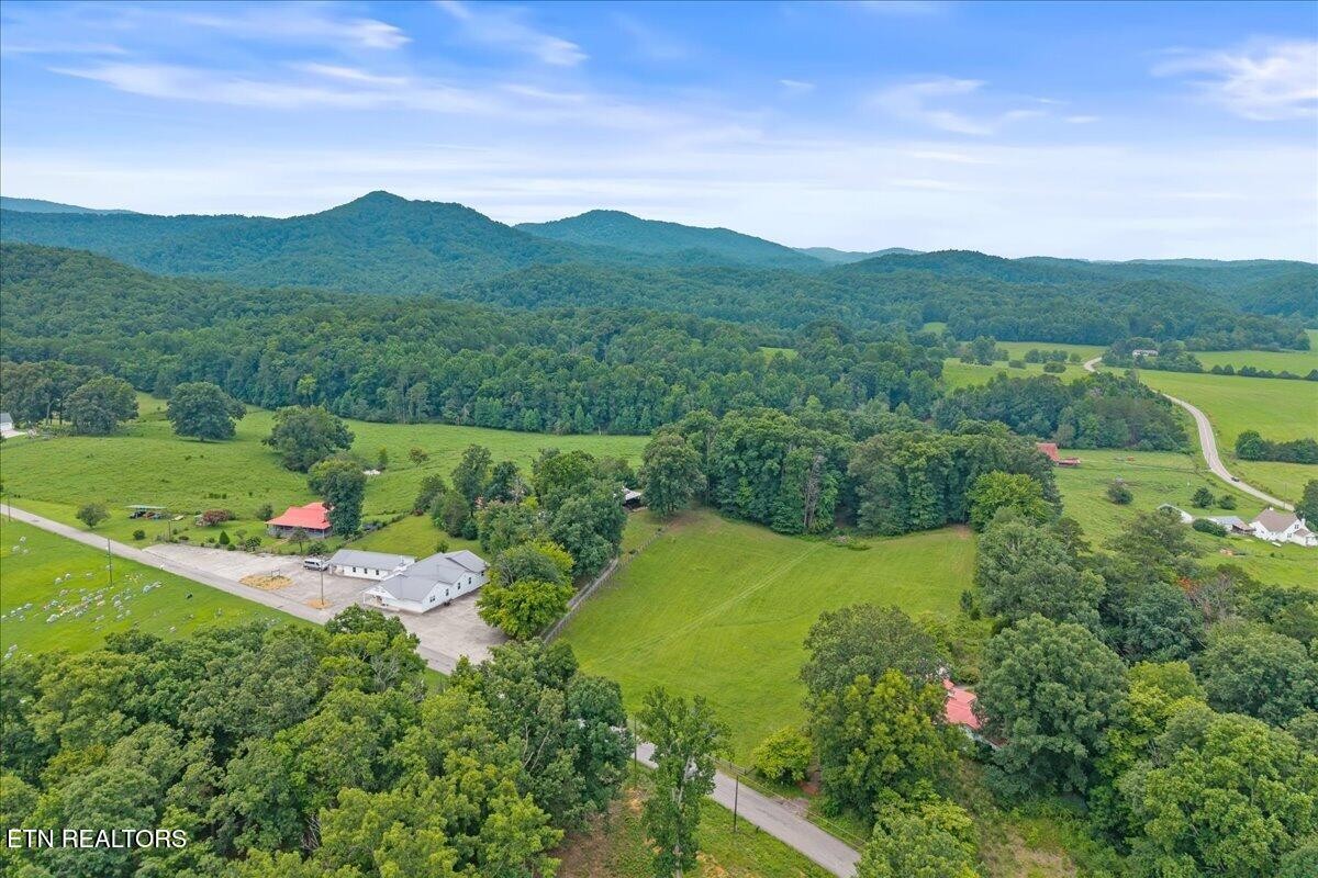160 Rural Vale Road Tellico Plains, TN 37385 - Photo 46 of 51 Gallery Image 46