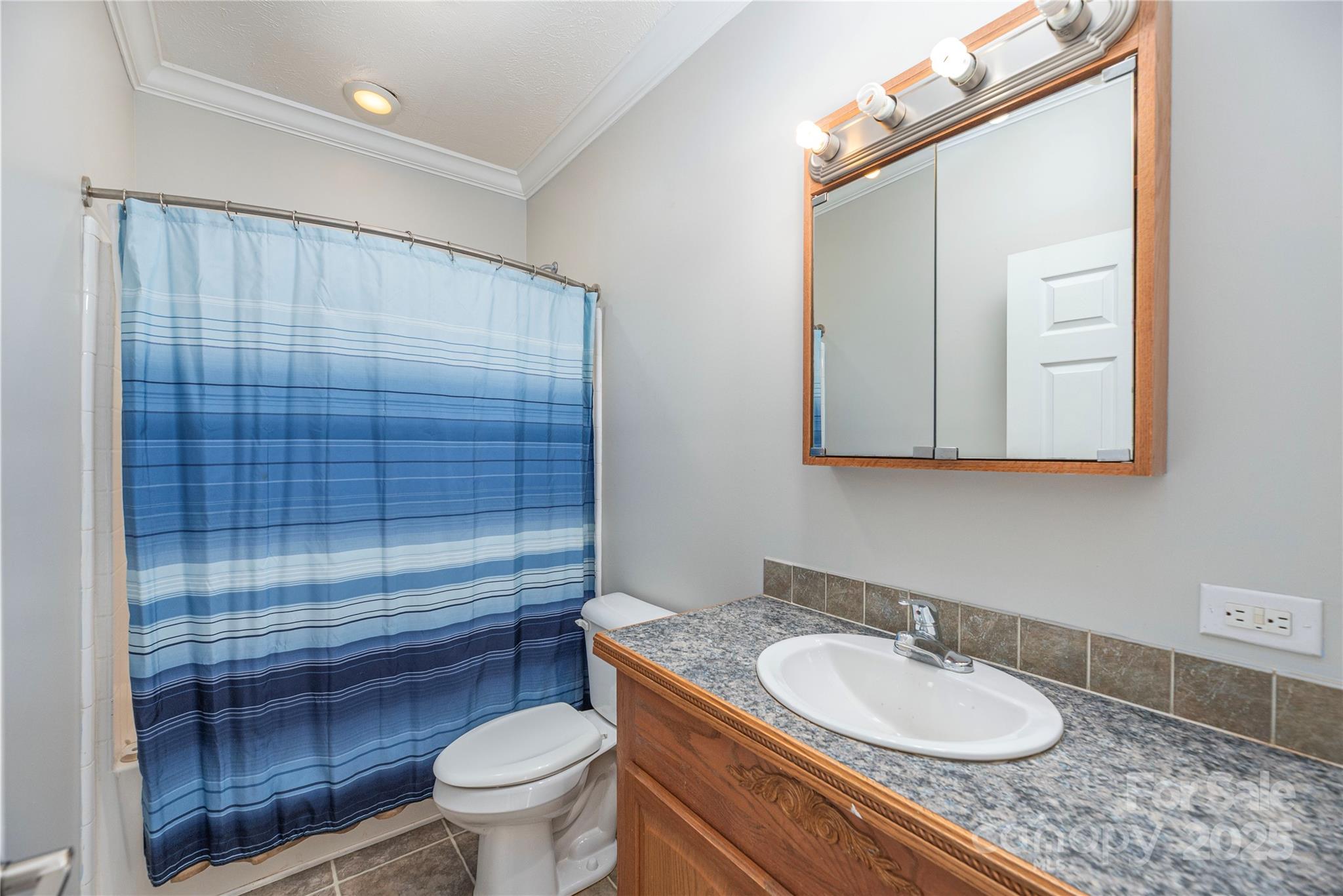 236 Pole Miller Extension Brevard, NC 28712 - Photo 16 of 38 a bathroom with a granite countertop sink toilet a mirror and shower
