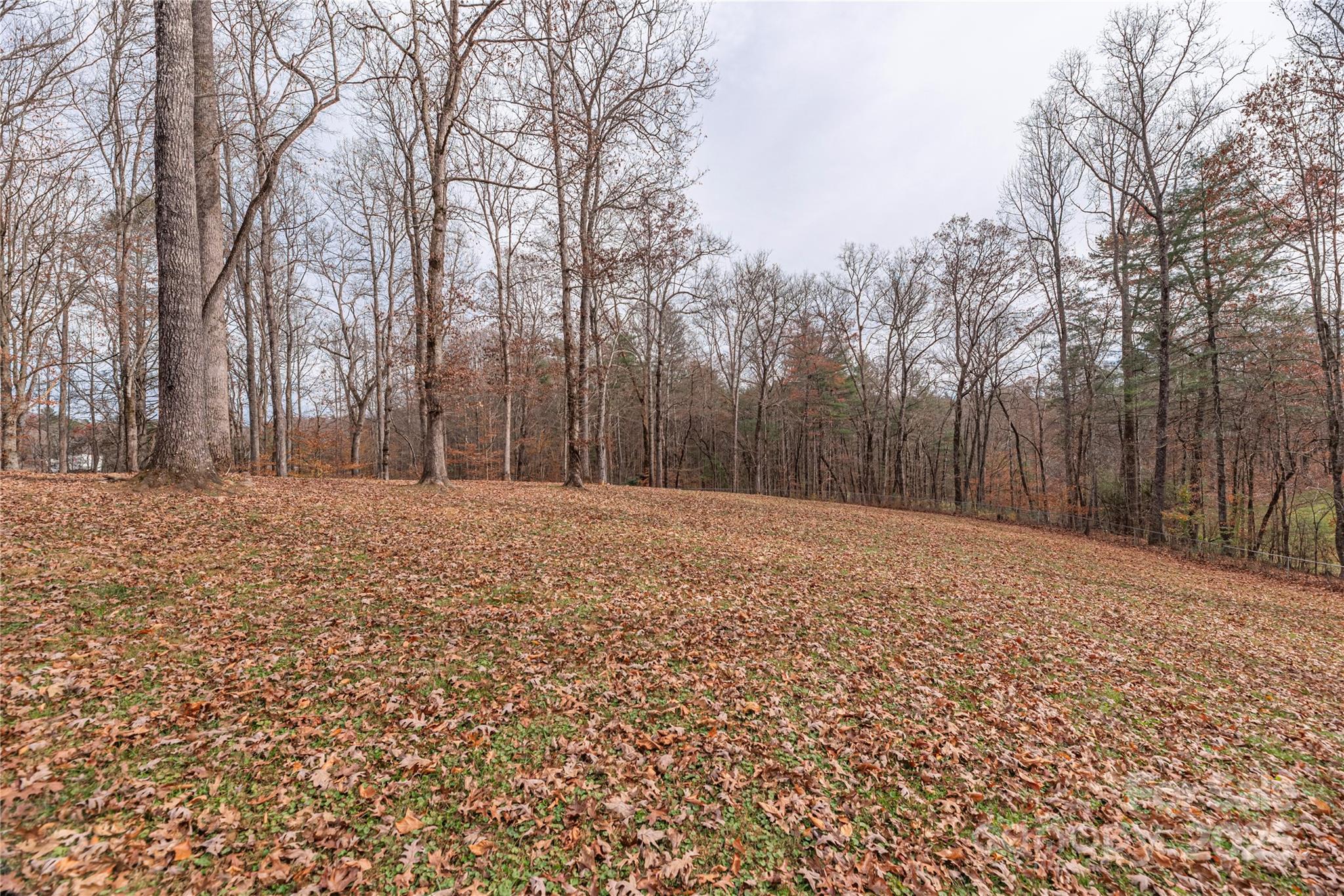 236 Pole Miller Extension Brevard, NC 28712 - Photo 32 of 38 a backyard of a house with trees