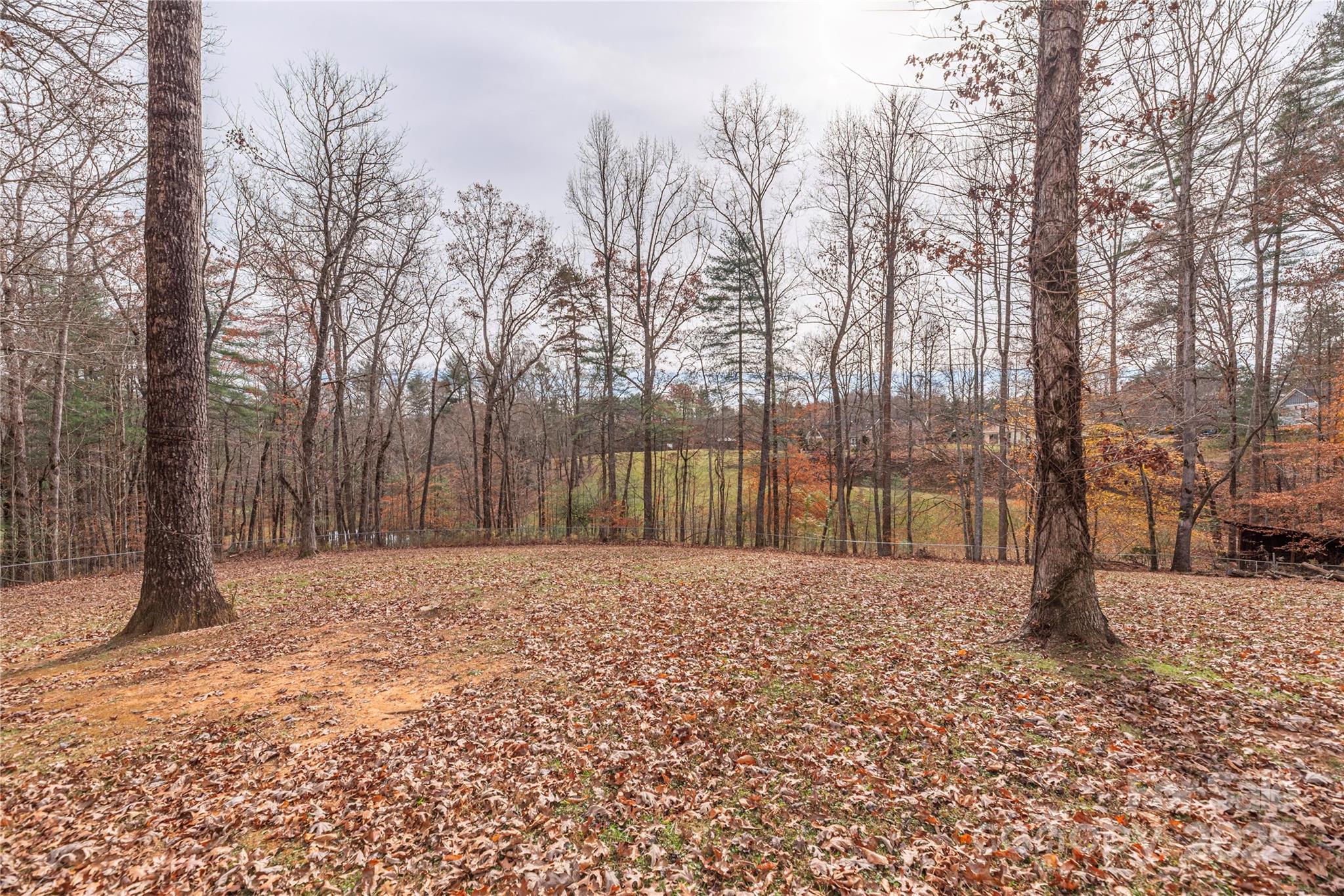 236 Pole Miller Extension Brevard, NC 28712 - Photo 33 of 38 a big house with trees in front of it