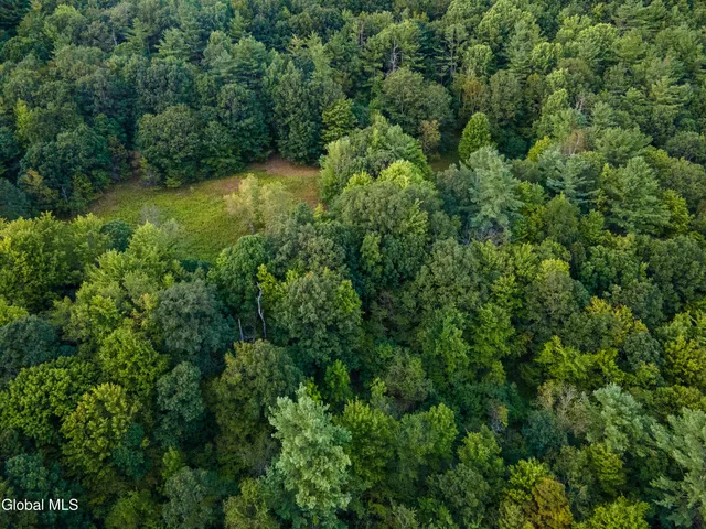 $229,100 | 568 Highway 145, Middleburgh, NY 12122