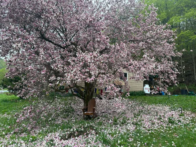 $229,100 | 568 Highway 145, Middleburgh, NY 12122