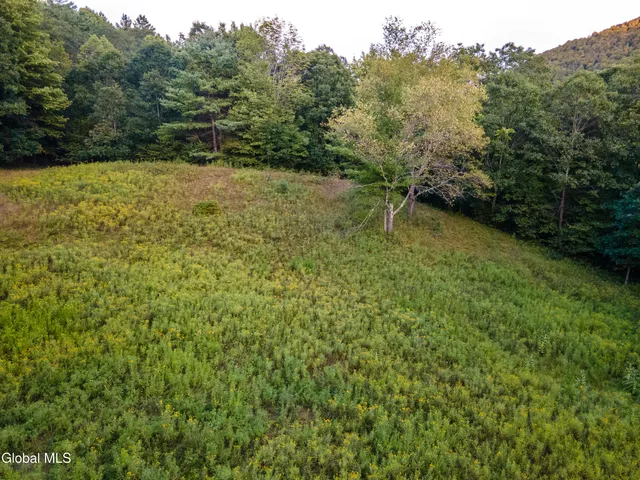 $229,100 | 568 Highway 145, Middleburgh, NY 12122