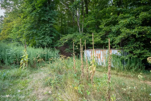 $229,100 | 568 Highway 145, Middleburgh, NY 12122