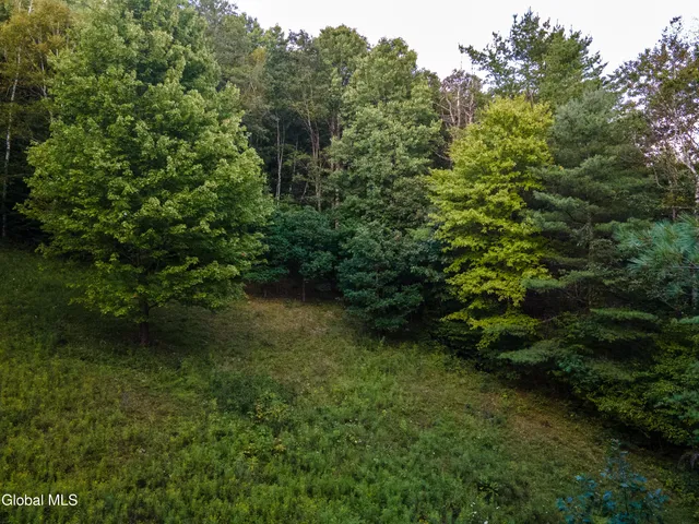 $229,100 | 568 Highway 145, Middleburgh, NY 12122