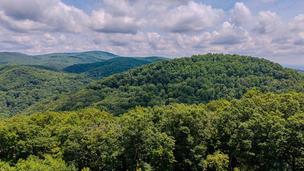 274 Andes Ridge Morganton, GA 30560 - Photo 24 of 24