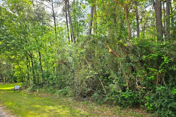 $230,000 | Tbd Bernard Court, Porter, TX 77365