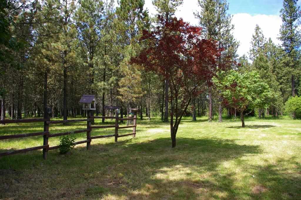 348 Beeman Road Usk, WA 99180 - Photo 5 of 12