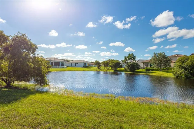 a view of a park with palm trees