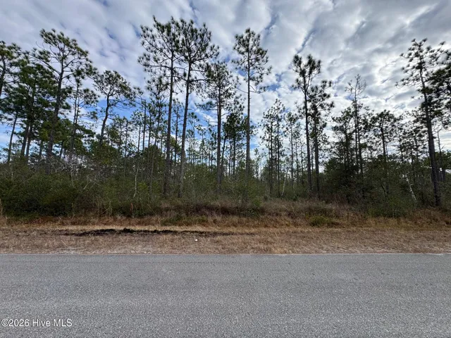 $15,000 | Lot 22 Pepperhill Road, Southport, NC 28461