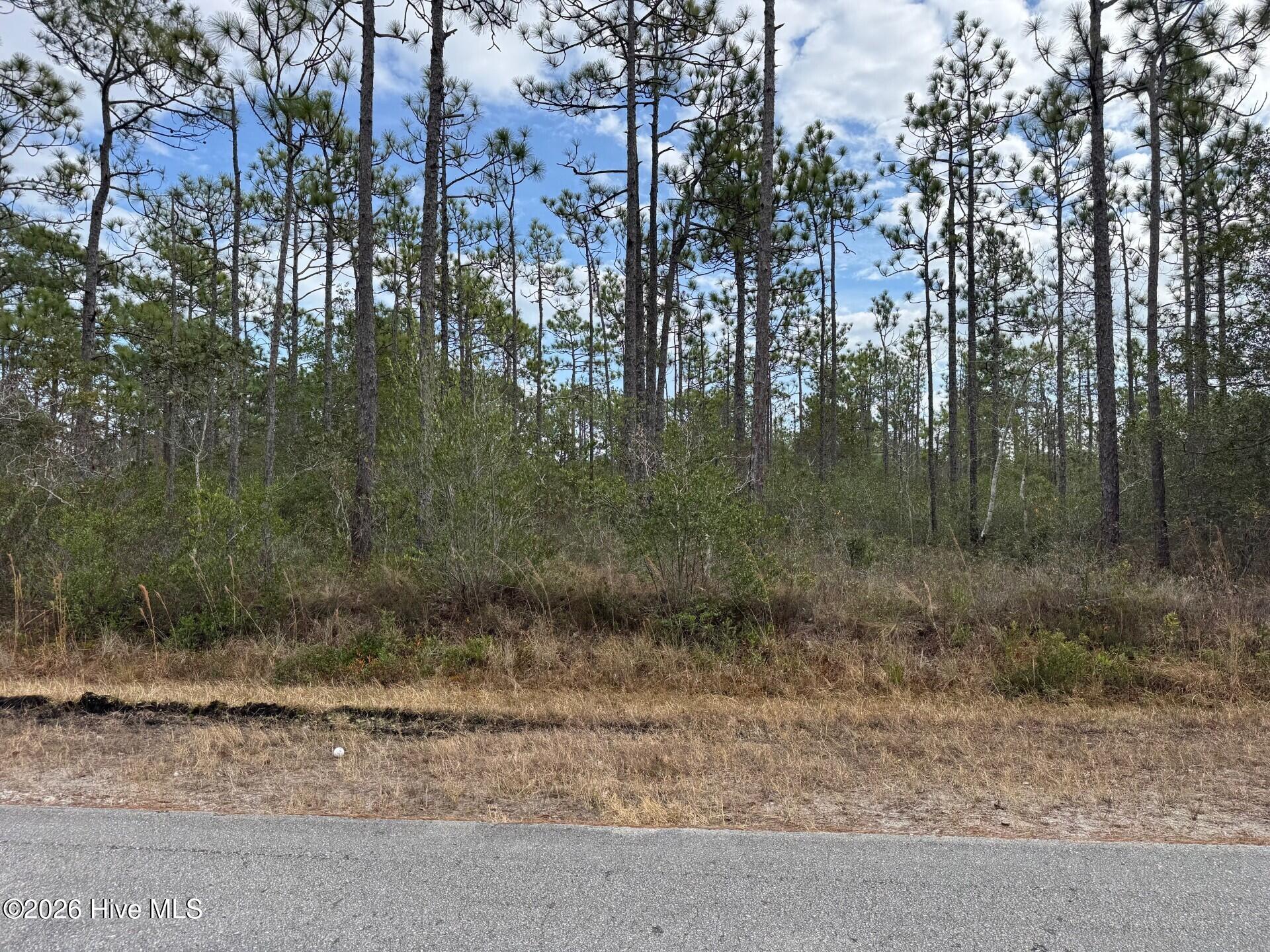 Lot 22 Pepperhill Road Southport, NC 28461 - Photo 2 of 22 Lot 22 Pepperhill Road