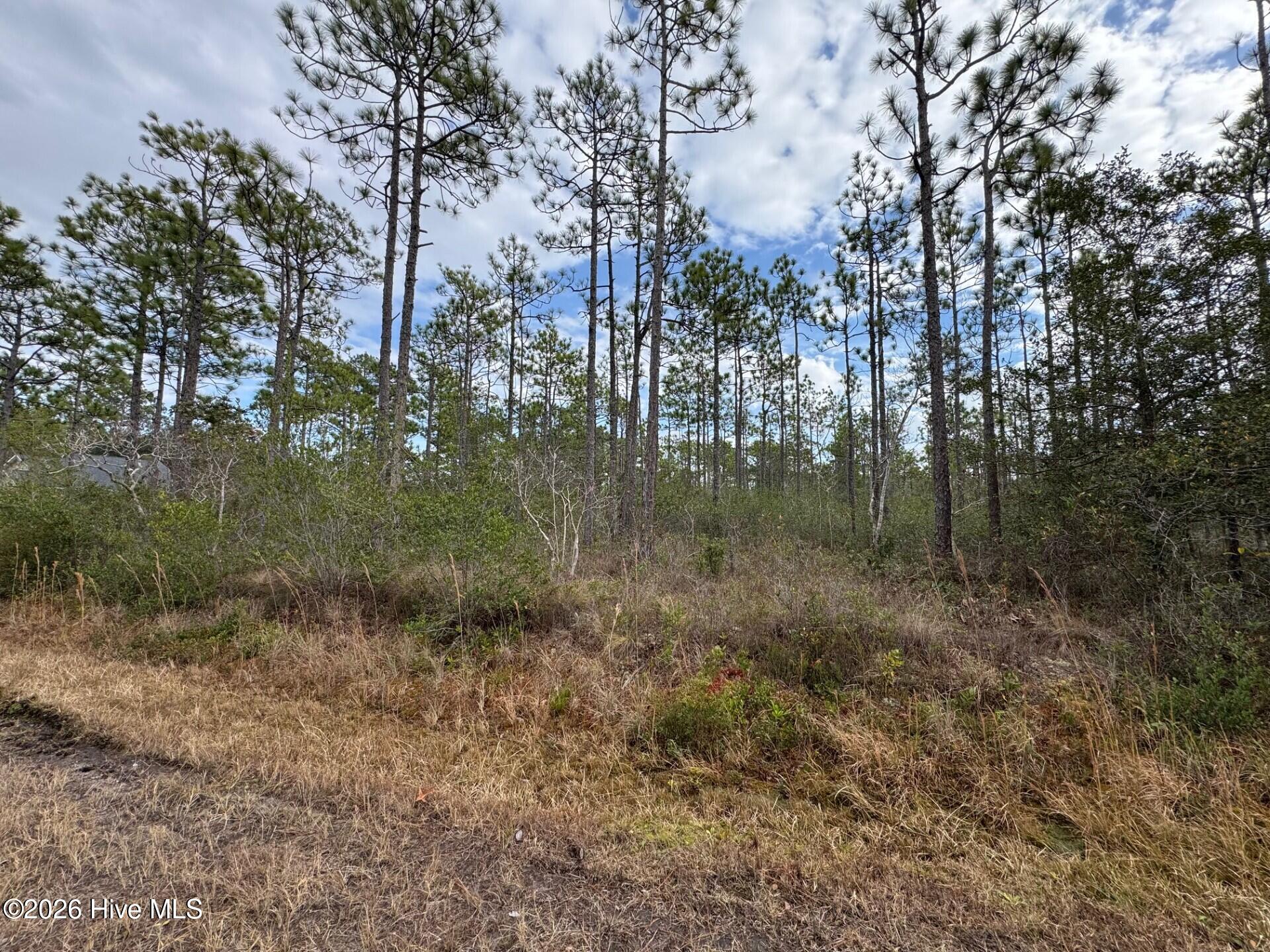 Lot 22 Pepperhill Road Southport, NC 28461 - Photo 5 of 22 Lot 22 Pepperhill Road