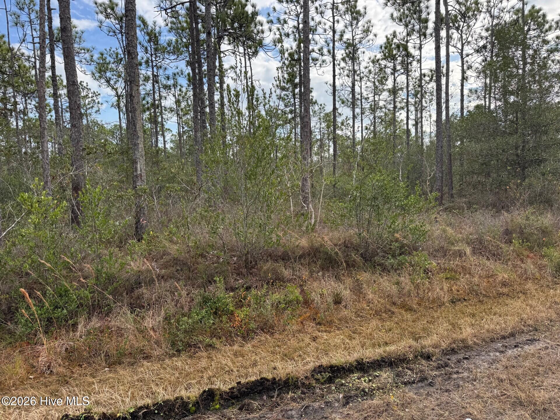 Lot 22 Pepperhill Road Southport, NC 28461 - Photo 6 of 22 Lot 22 Pepperhill Road