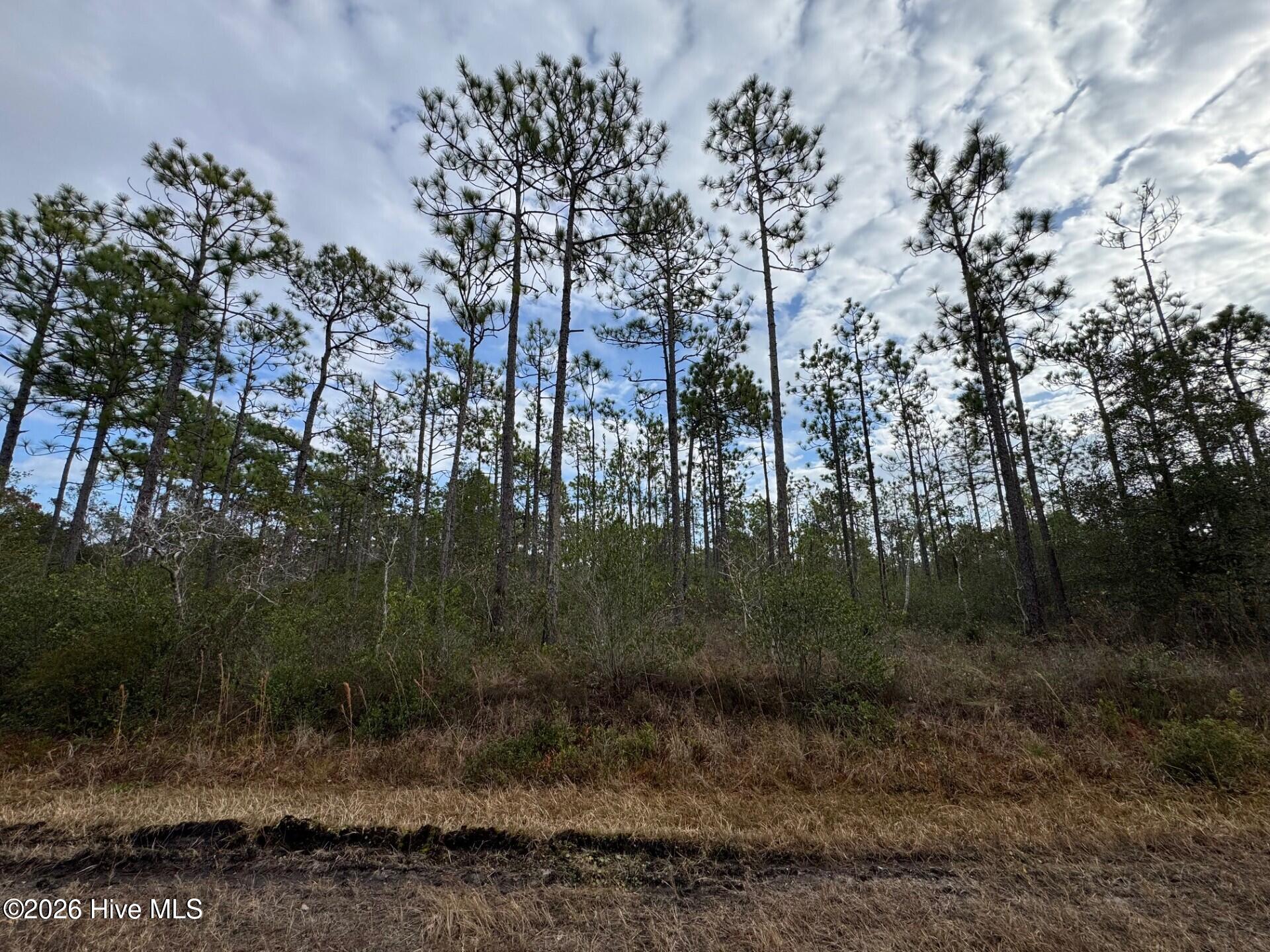 Lot 22 Pepperhill Road Southport, NC 28461 - Photo 7 of 22 Lot 22 Pepperhill Road