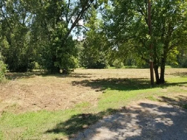 a view of yard with trees