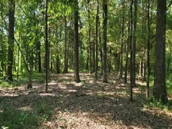 a view of outdoor space and trees