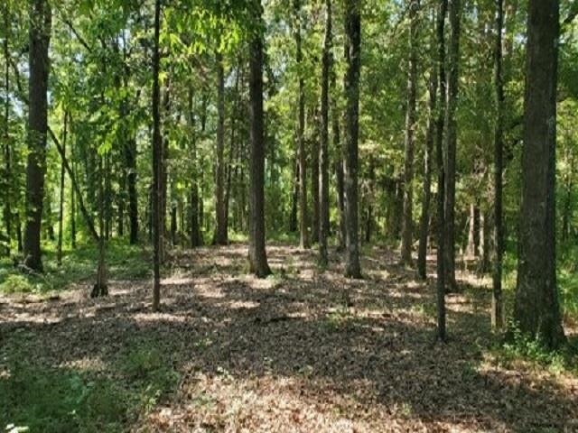 398 Tappah Street Grand Junction, TN 38039 - Photo 7 of 12 a view of outdoor space and trees