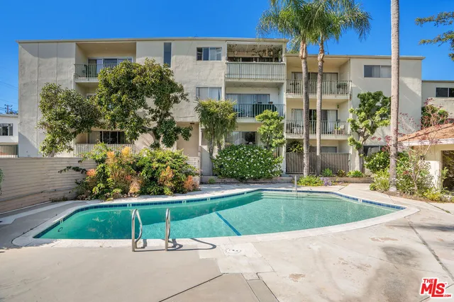 a view of a backyard with a garden and plants