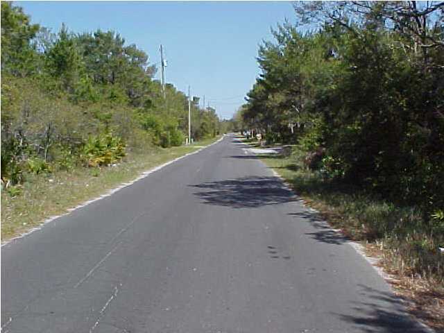 148 Carson Ln Inlet Beach Inlet Beach, FL 32461 - Photo 2 of 3 a view of a dirt road with trees in the background