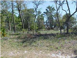 148 Carson Ln Inlet Beach Inlet Beach, FL 32461 - Photo 3 of 3 a view of a green field with lots of bushes