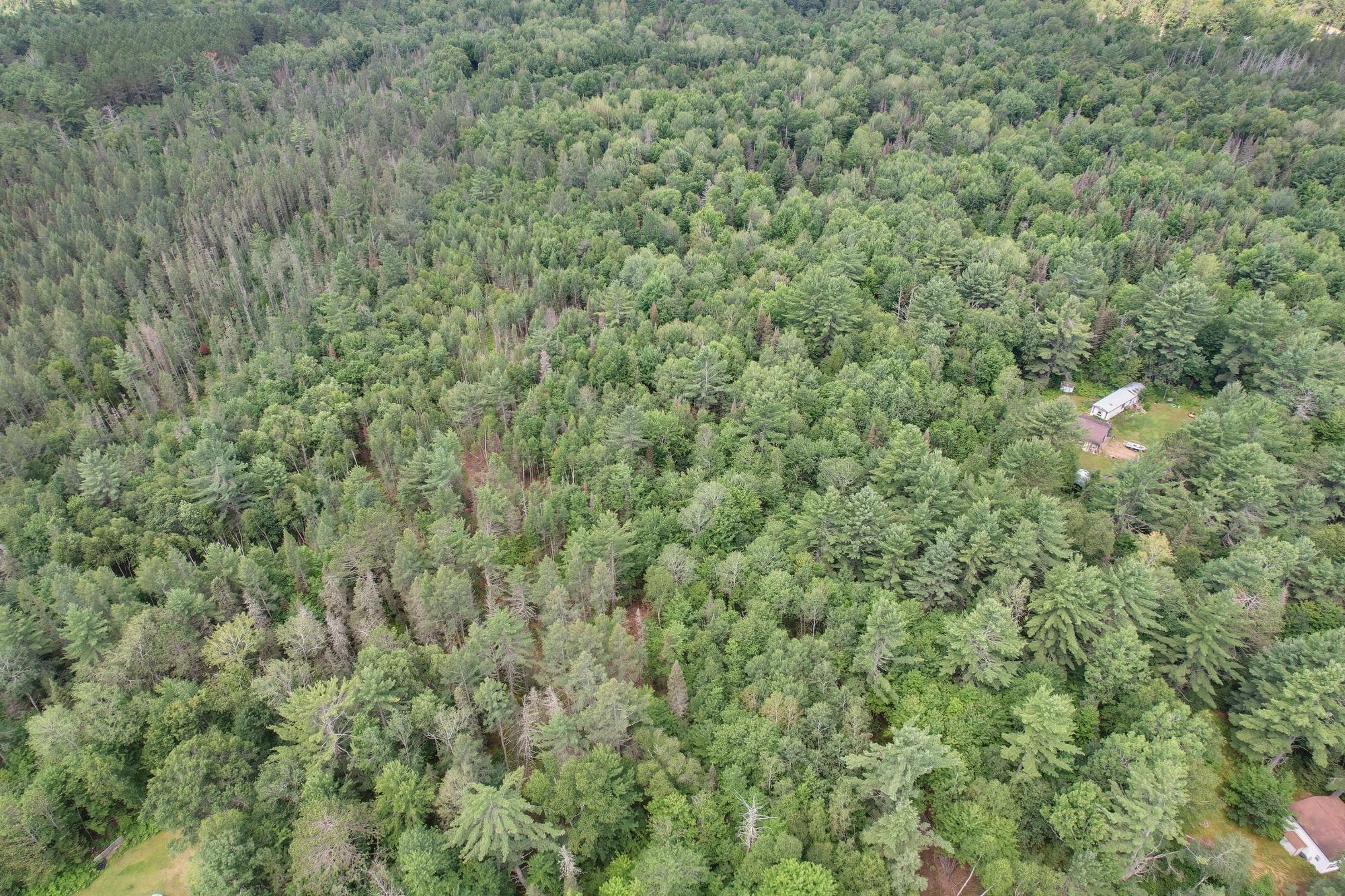 On Watersmeet Lake Road Eagle River, WI 54521 - Photo 7 of 12 Gallery Image 7