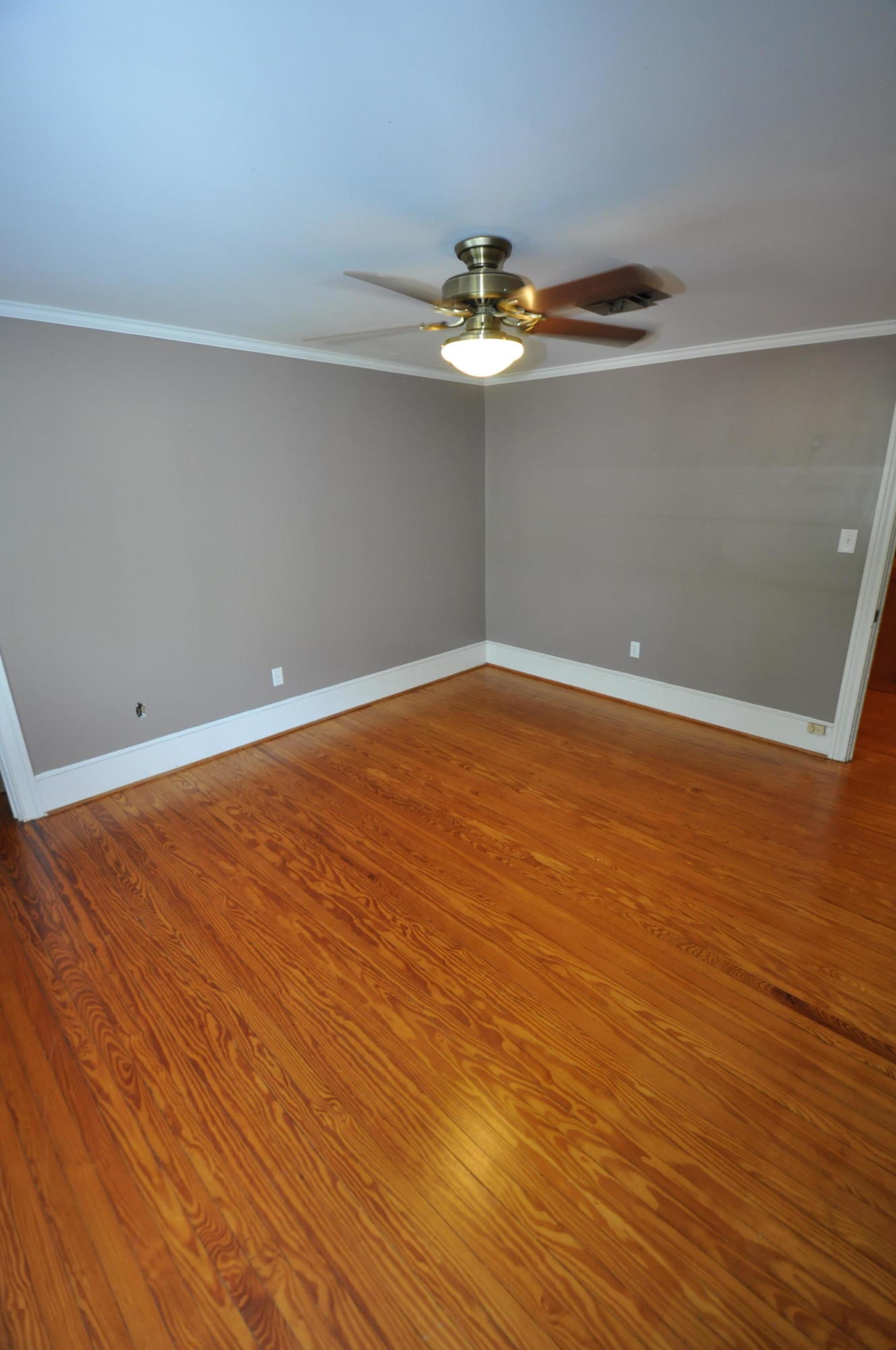 2137 Westrivers Road Charleston, SC 29412 - Photo 34 of 60 DSC_0039