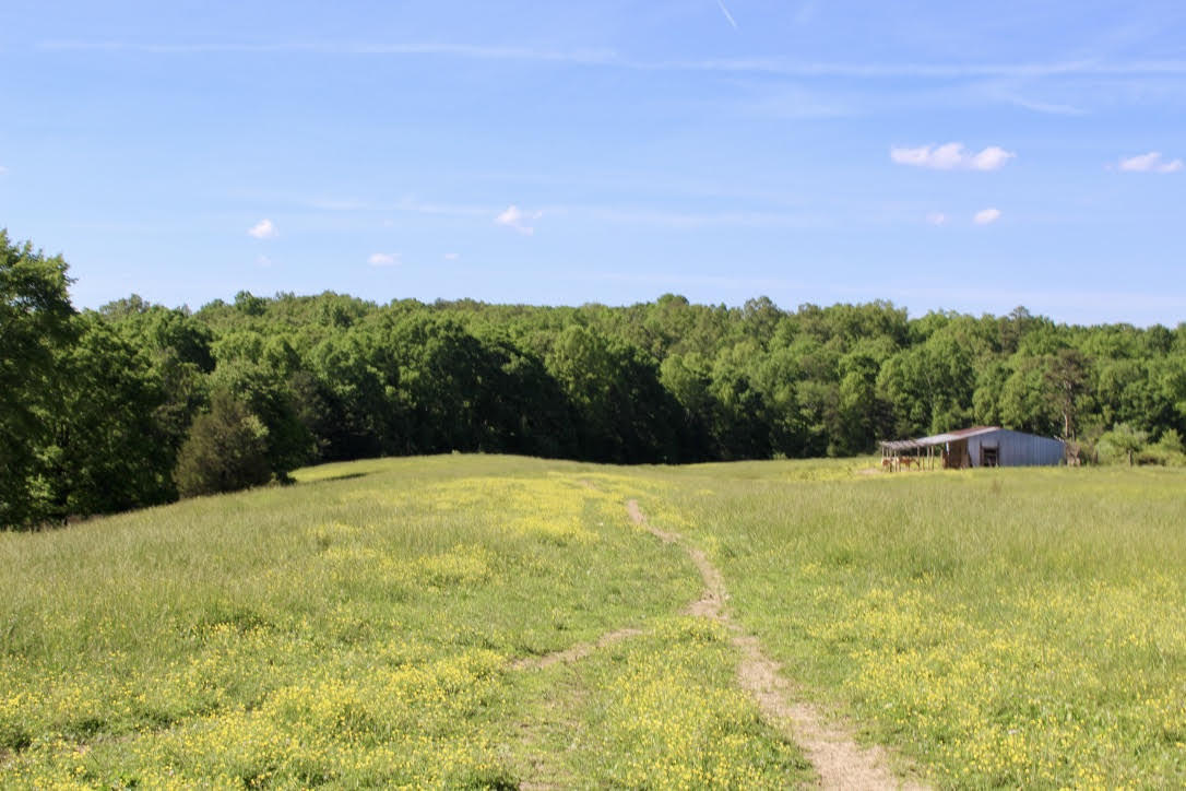 Cross Road Winfield, TN 37892 - Photo 1 of 20 unnamed