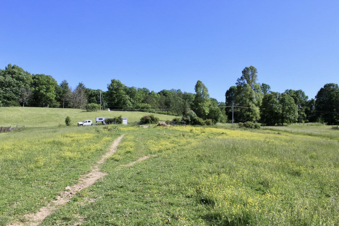 Cross Road Winfield, TN 37892 - Photo 2 of 20 unnamed-3