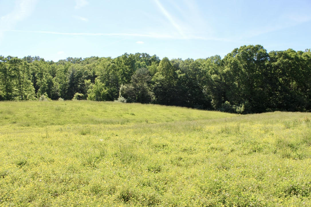 Cross Road Winfield, TN 37892 - Photo 11 of 20 unnamed-2