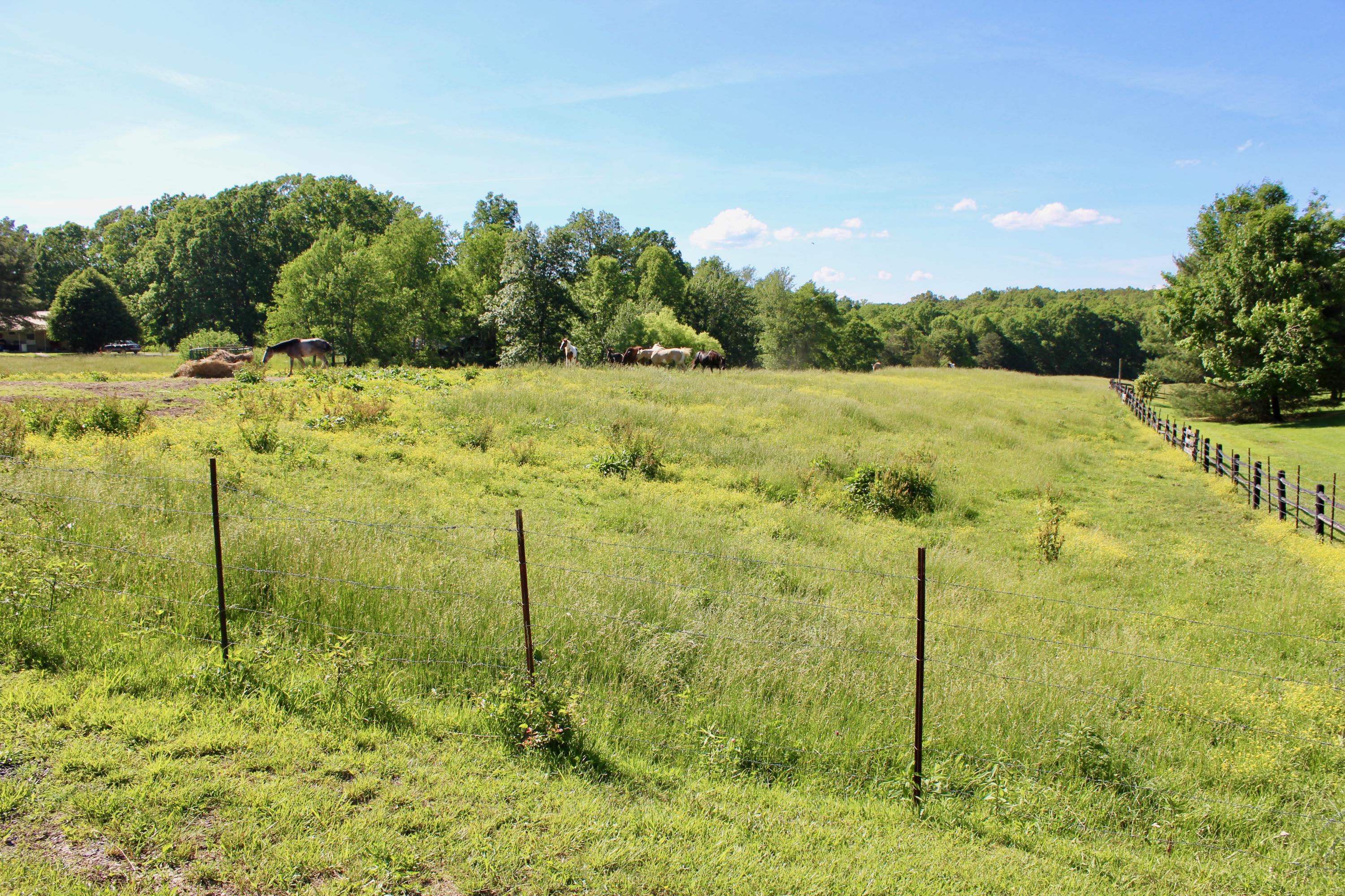 Cross Road Winfield, TN 37892 - Photo 13 of 20 IMG_5220