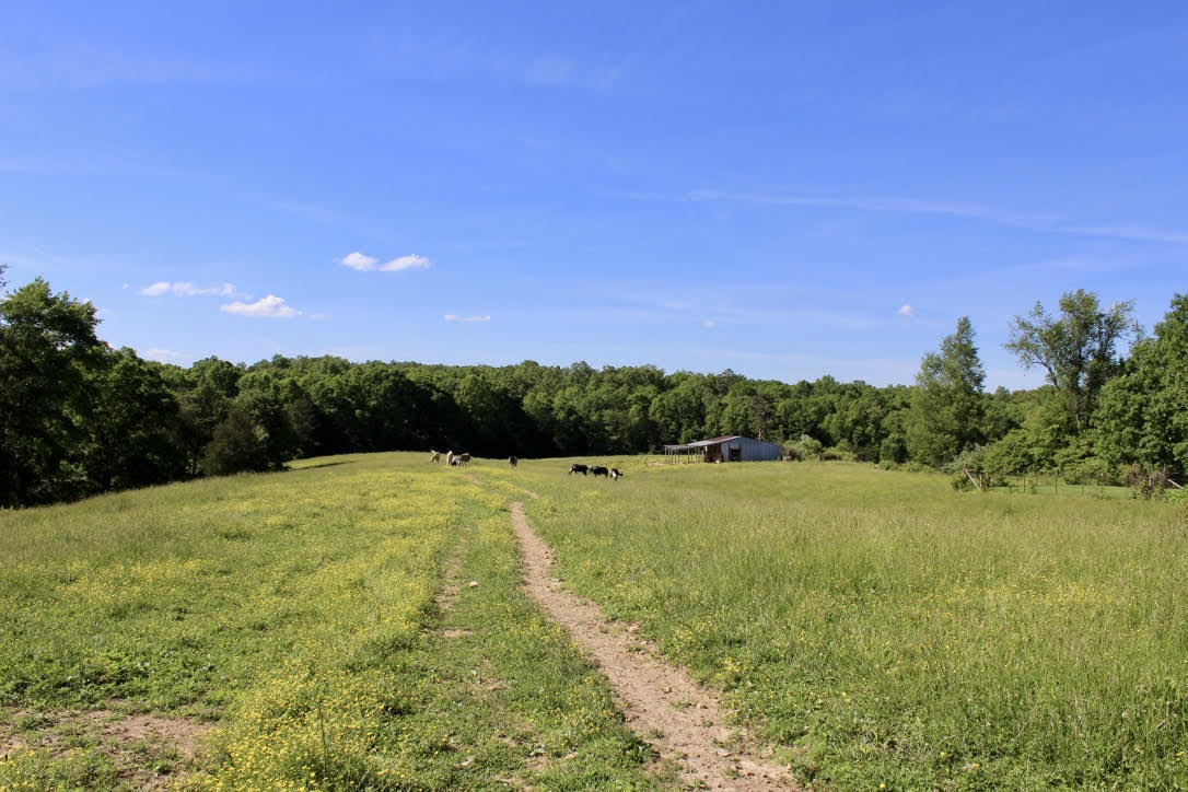 Cross Road Winfield, TN 37892 - Photo 17 of 20 unnamed-4
