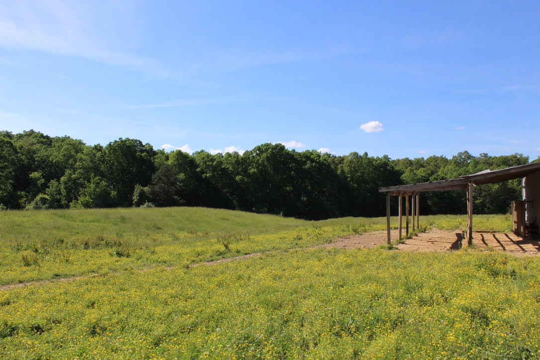 Cross Road Winfield, TN 37892 - Photo 4 of 20 unnamed-6