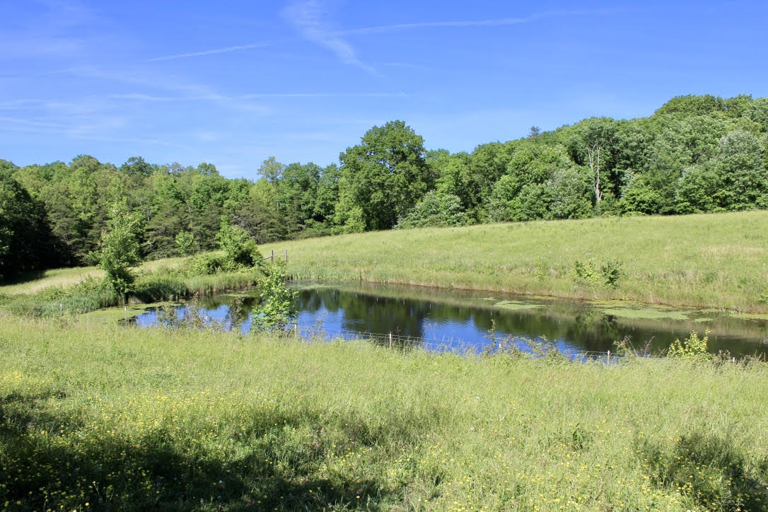 Cross Road Winfield, TN 37892 - Photo 6 of 20 unnamed-9