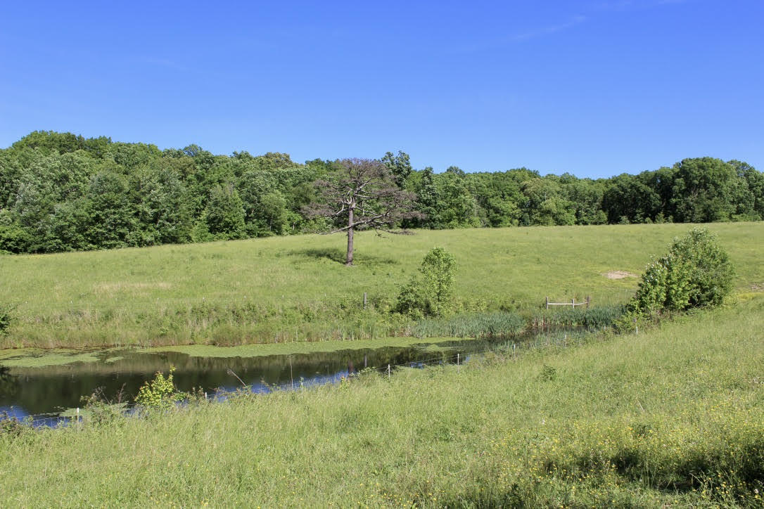 Cross Road Winfield, TN 37892 - Photo 7 of 20 unnamed-10