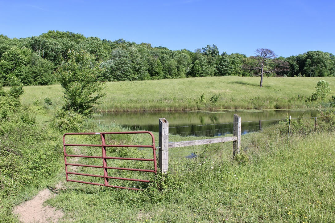 Cross Road Winfield, TN 37892 - Photo 8 of 20 unnamed-12