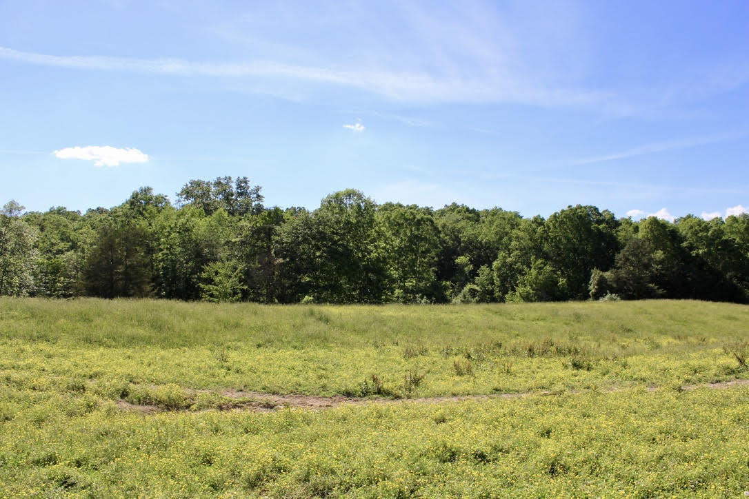 Cross Road Winfield, TN 37892 - Photo 9 of 20 unnamed-5