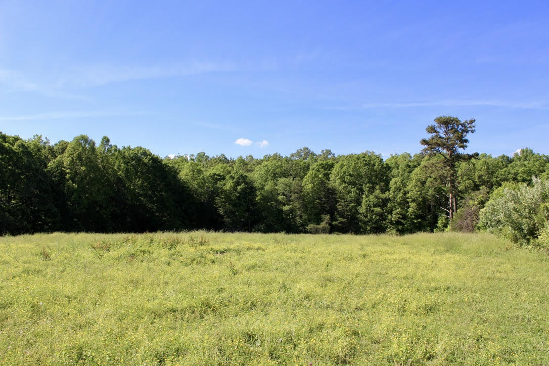 Cross Road Winfield, TN 37892 - Photo 10 of 20 unnamed-8