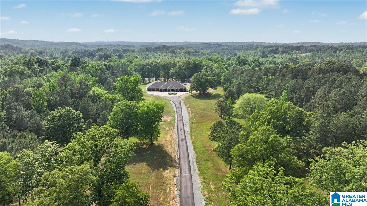 4550 Newbold Road Bessemer, AL 35022 - Photo 5 of 99
