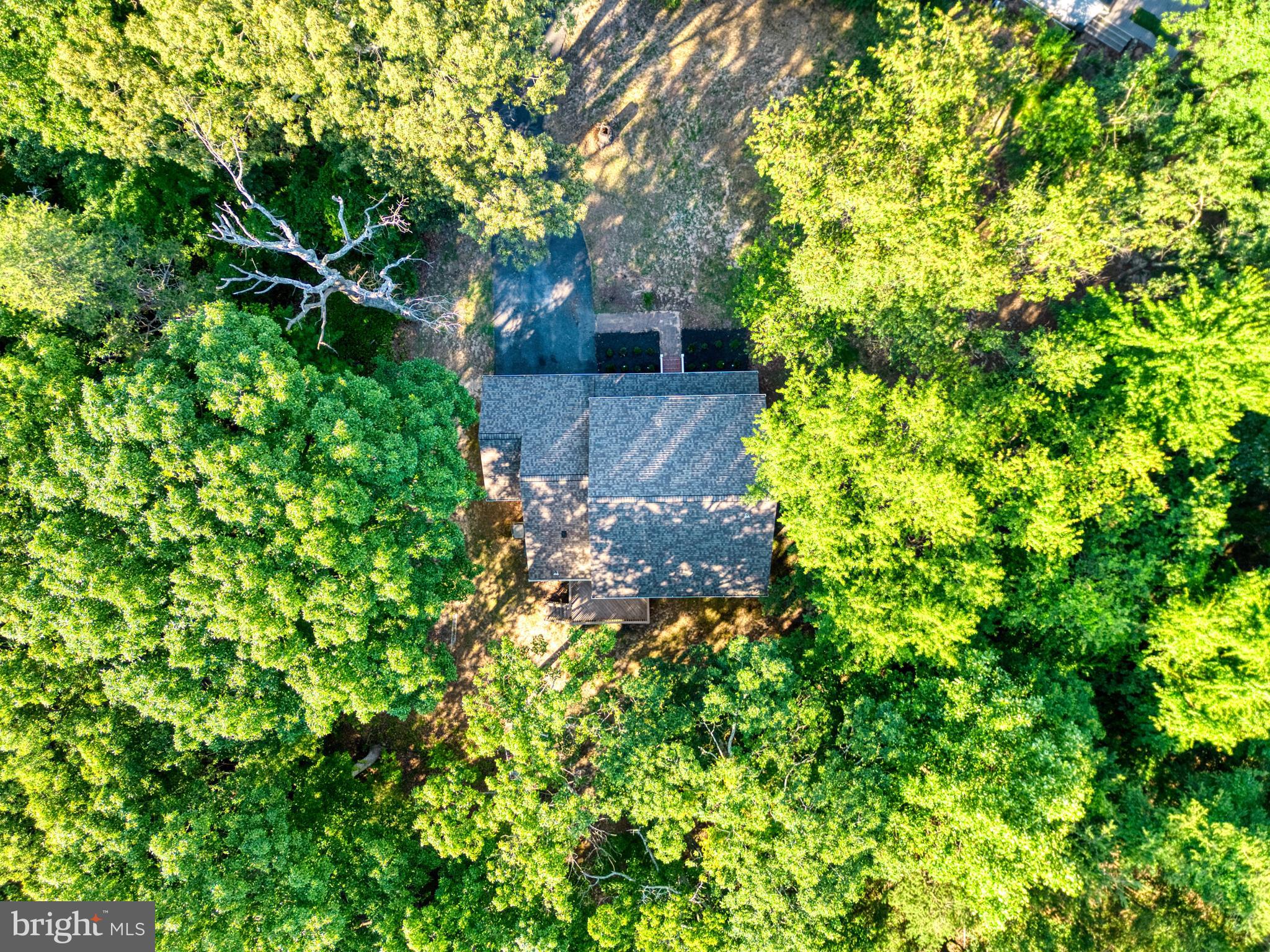 1555 Wall Drive Pasadena, MD 21122 - Photo 41 of 46 a picture of plants