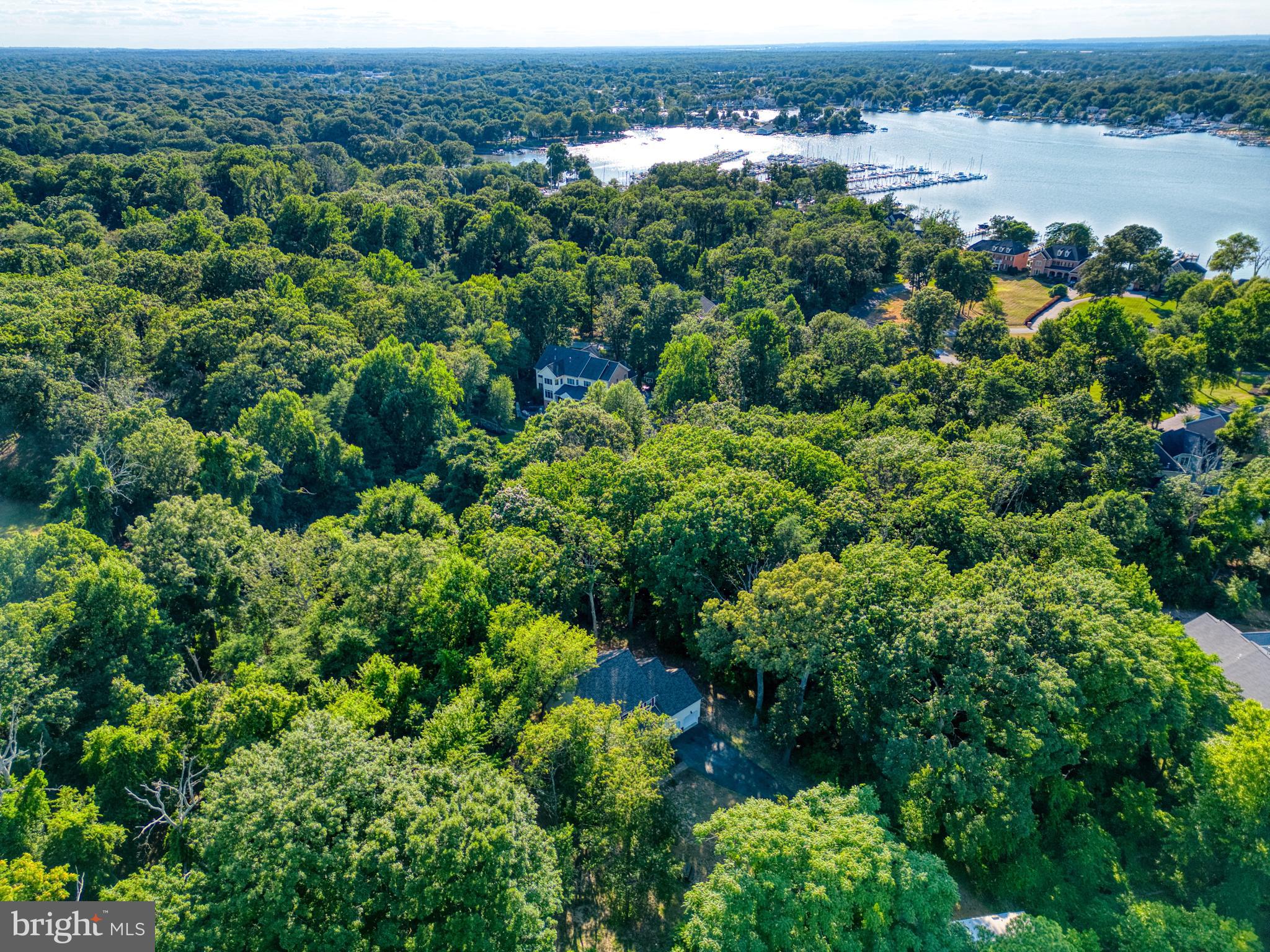 1555 Wall Drive Pasadena, MD 21122 - Photo 44 of 46 an aerial view of a houses with outdoor space and trees