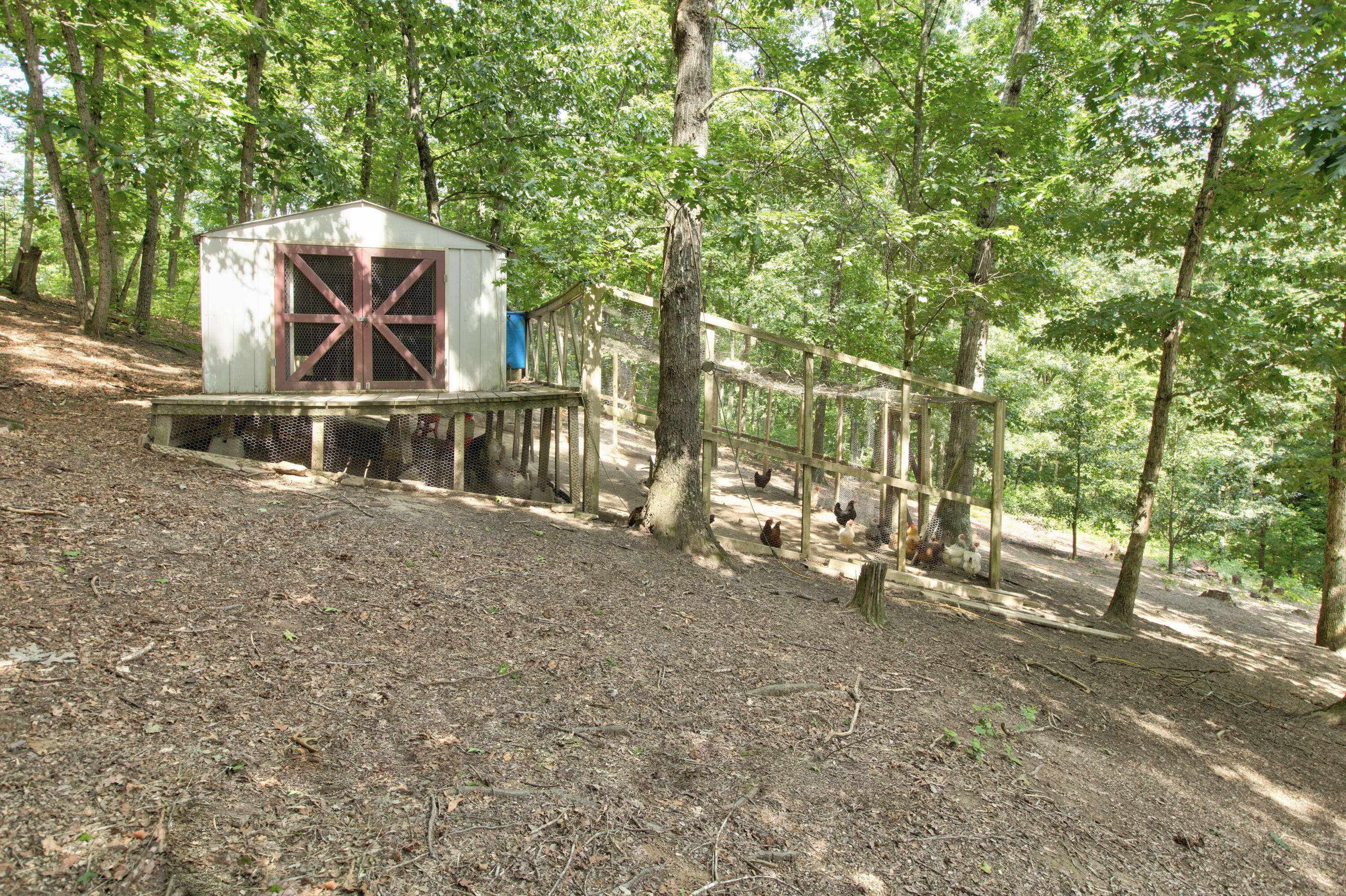 484 Old Log Lick Road Winchester, KY 40391 - Photo 32 of 43 261A9502_3_4