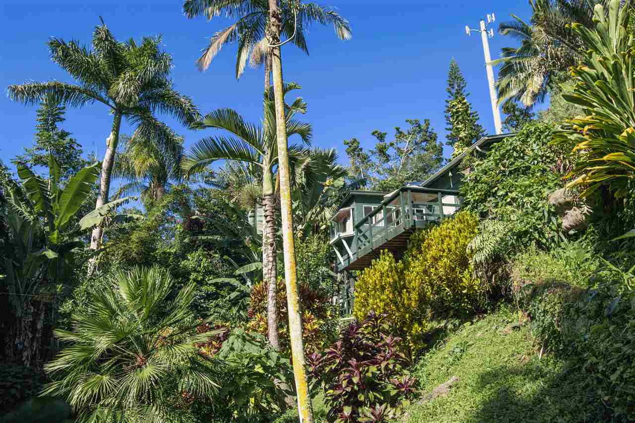 900 Haiku Road Haiku, HI 96708 - Photo 3 of 15 a view of a plant in a garden
