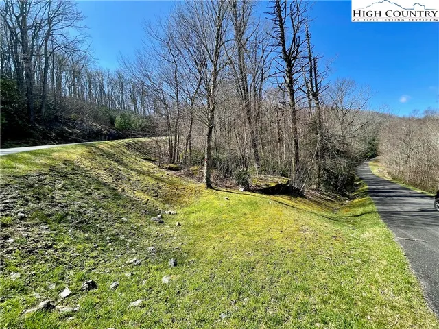 a view of a dry yard